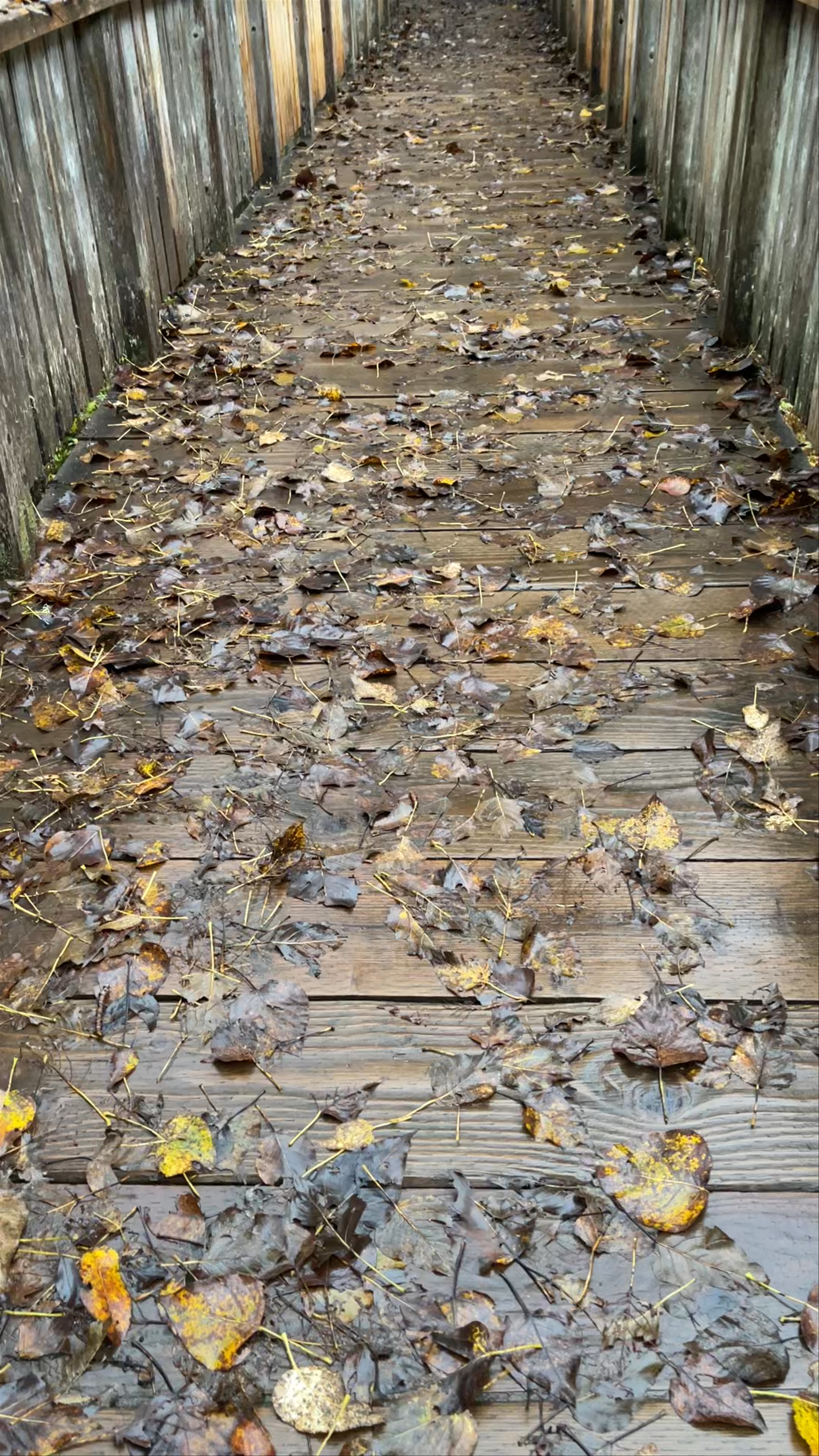 Fish Creek Wildlife Observation Site