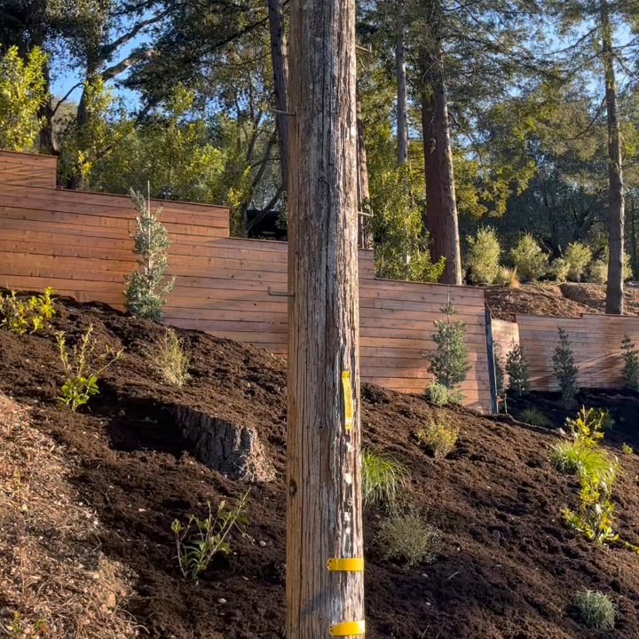 Ayalas Yard Work - The beautiful horizontal, smooth redwood fence done by this team - Fences & Gates Near Me