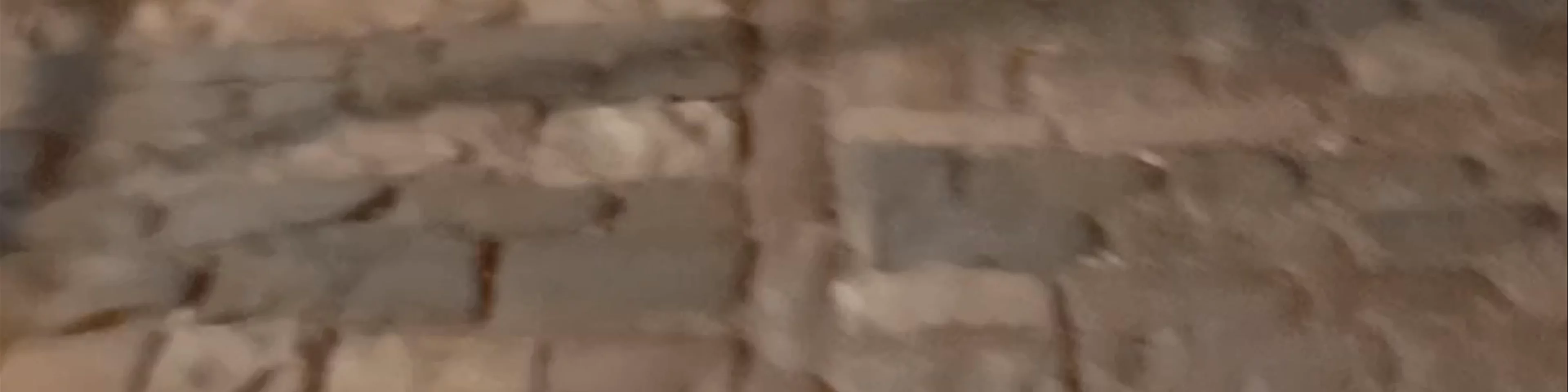 Taverna Tradicionale