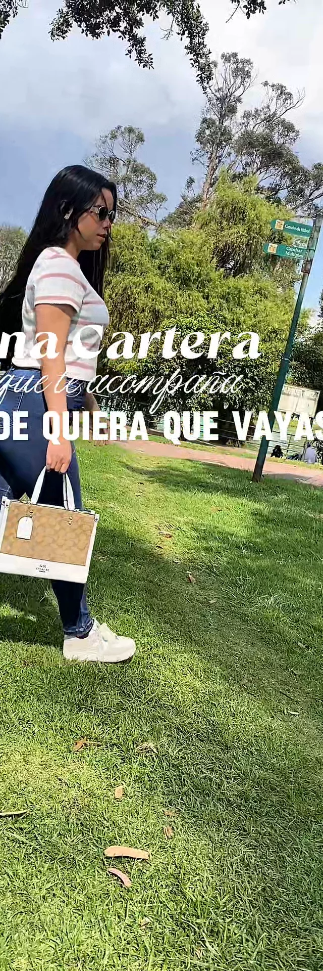 Contenido del creador