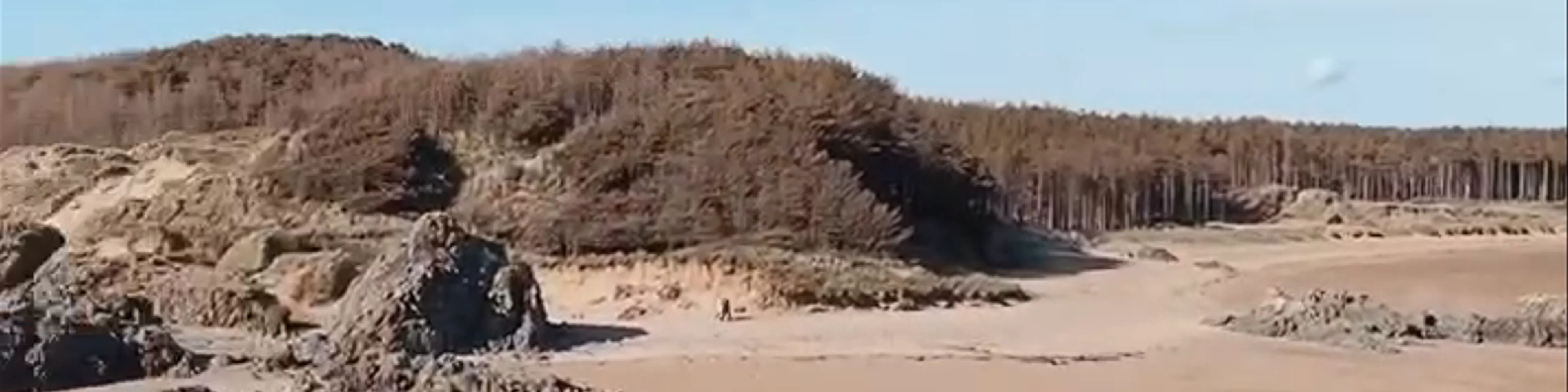  Newborough Beach