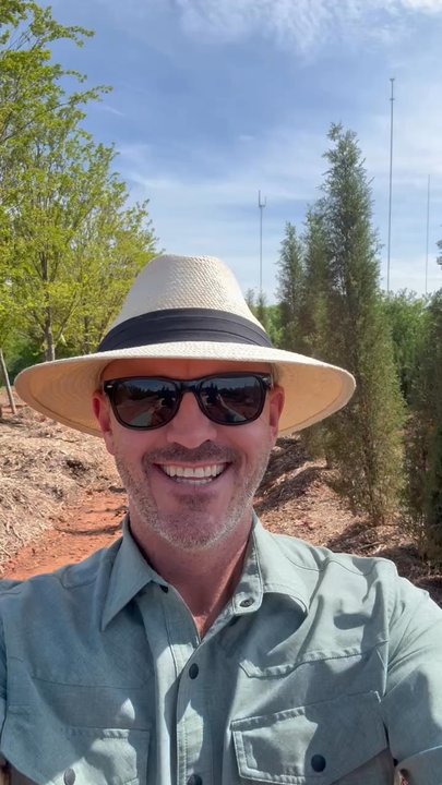 Happy Trees - Taylor junipers- tall, thin variety which look great against large structures. They never get to big! - Tree Services Near Me - Oklahoma City, Oklahoma