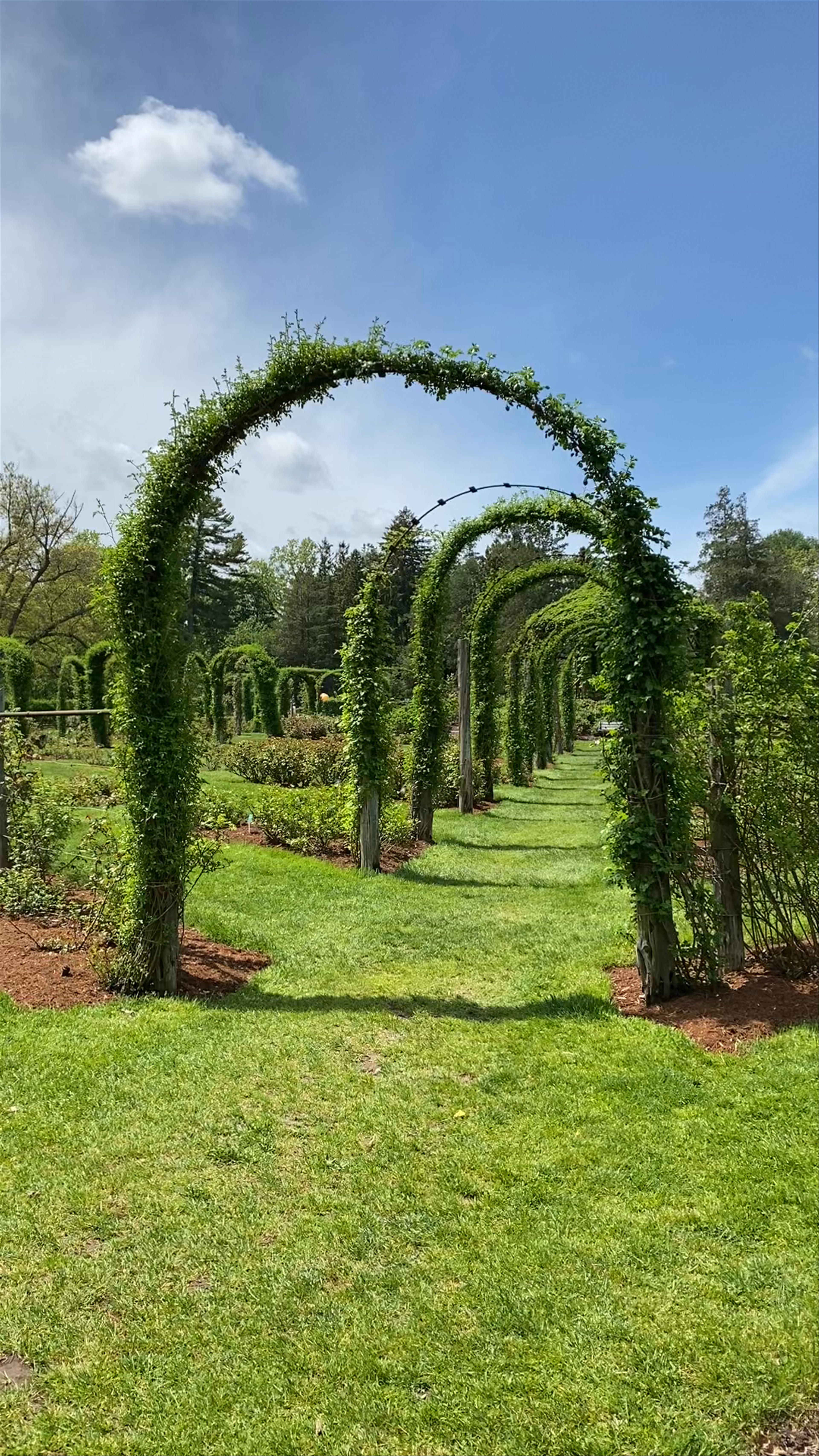Elizabeth Park Rose Garden