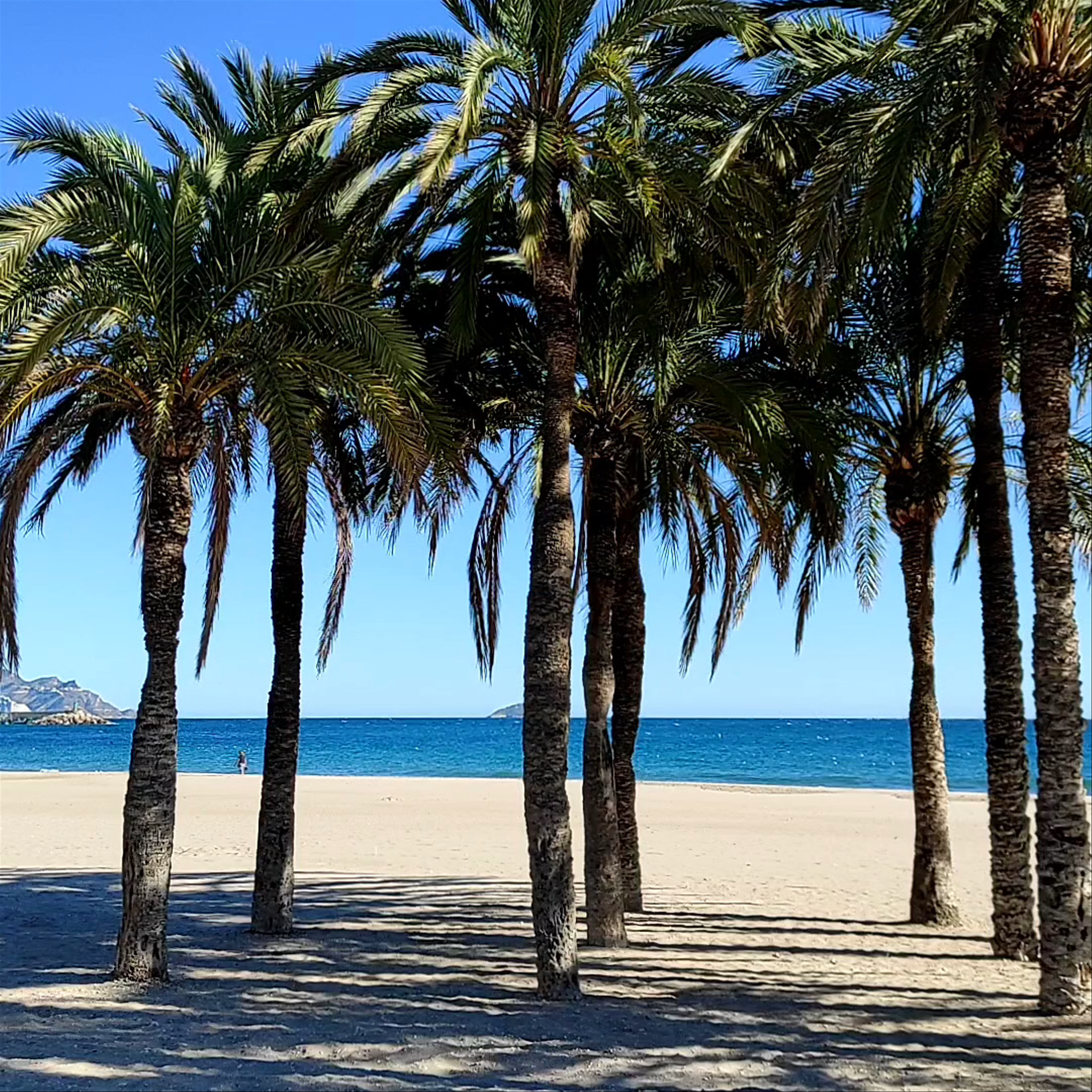 Playa Centro la Vila