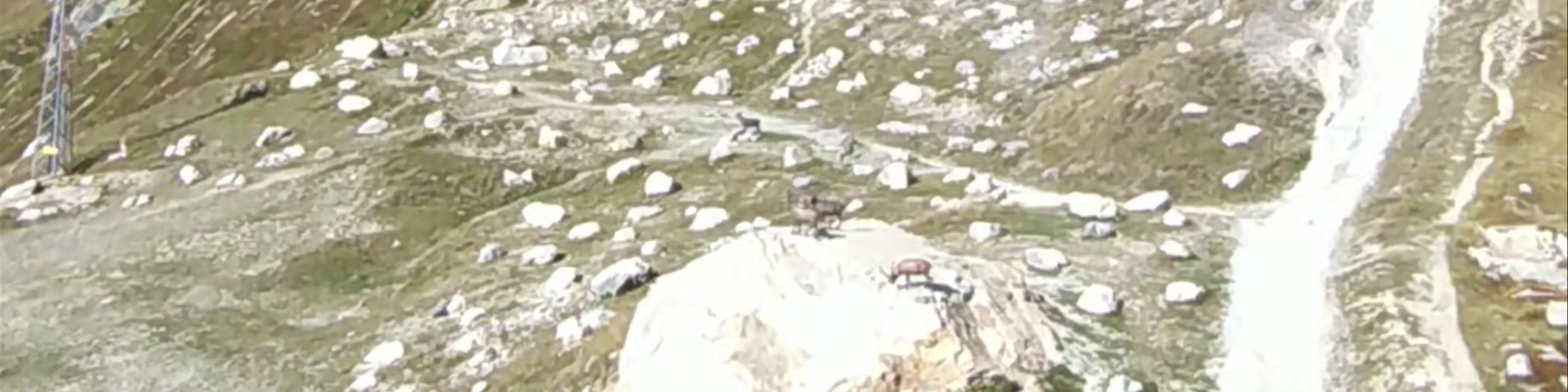 Skyway Monte Bianco