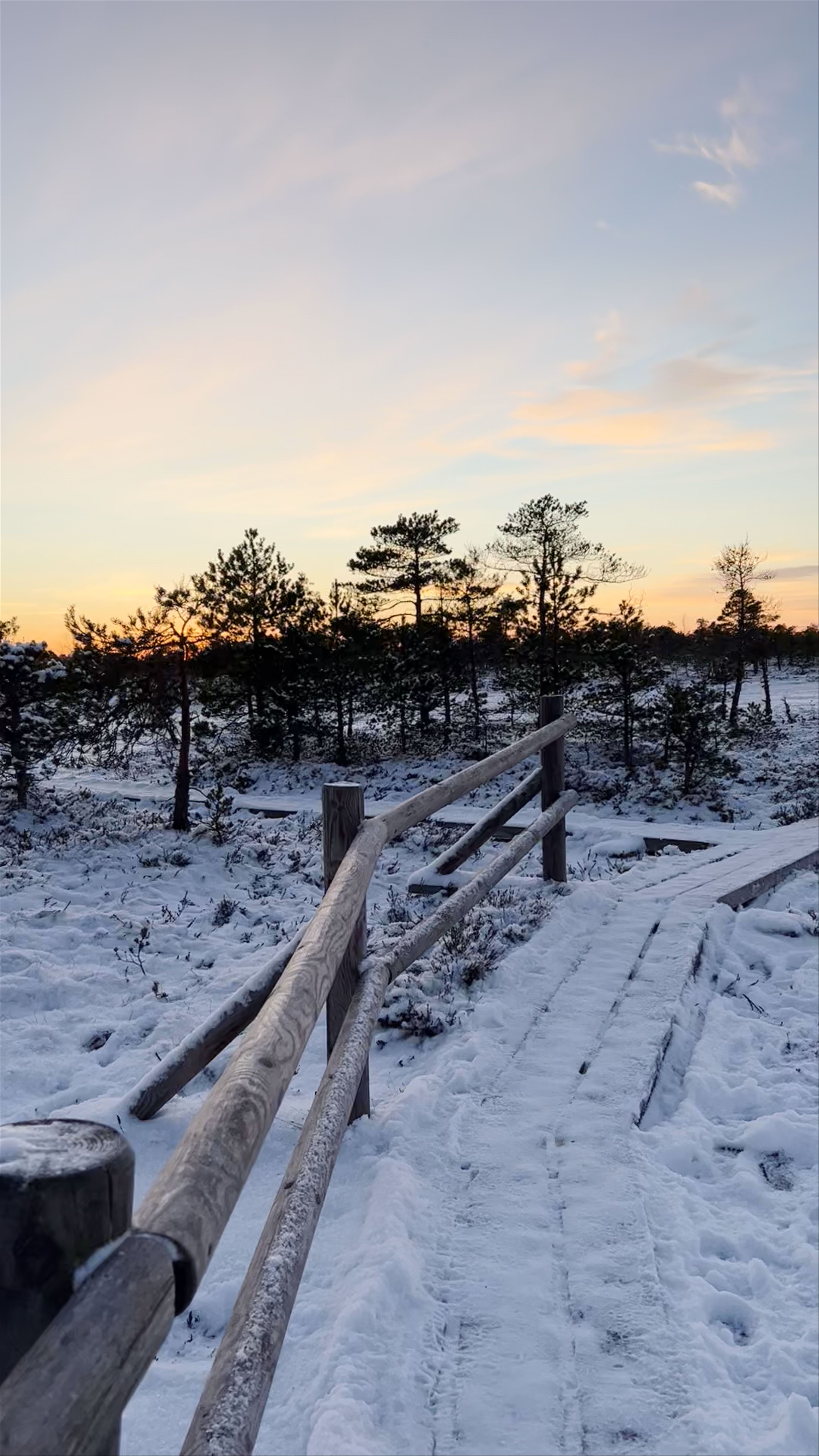 Winter Wilderness Walk at Ķemeru Purva Boardwalk, Latvia