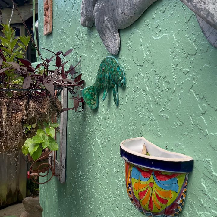 The Guest Cottage - Guest Houses Near Me - Cocoa Beach, Florida