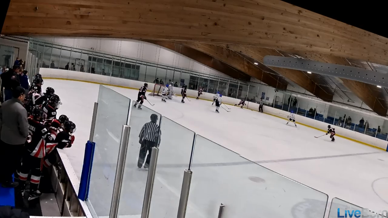 Gavin Perkovich: Chicago Reapers 14U AAA Offensive Highlights