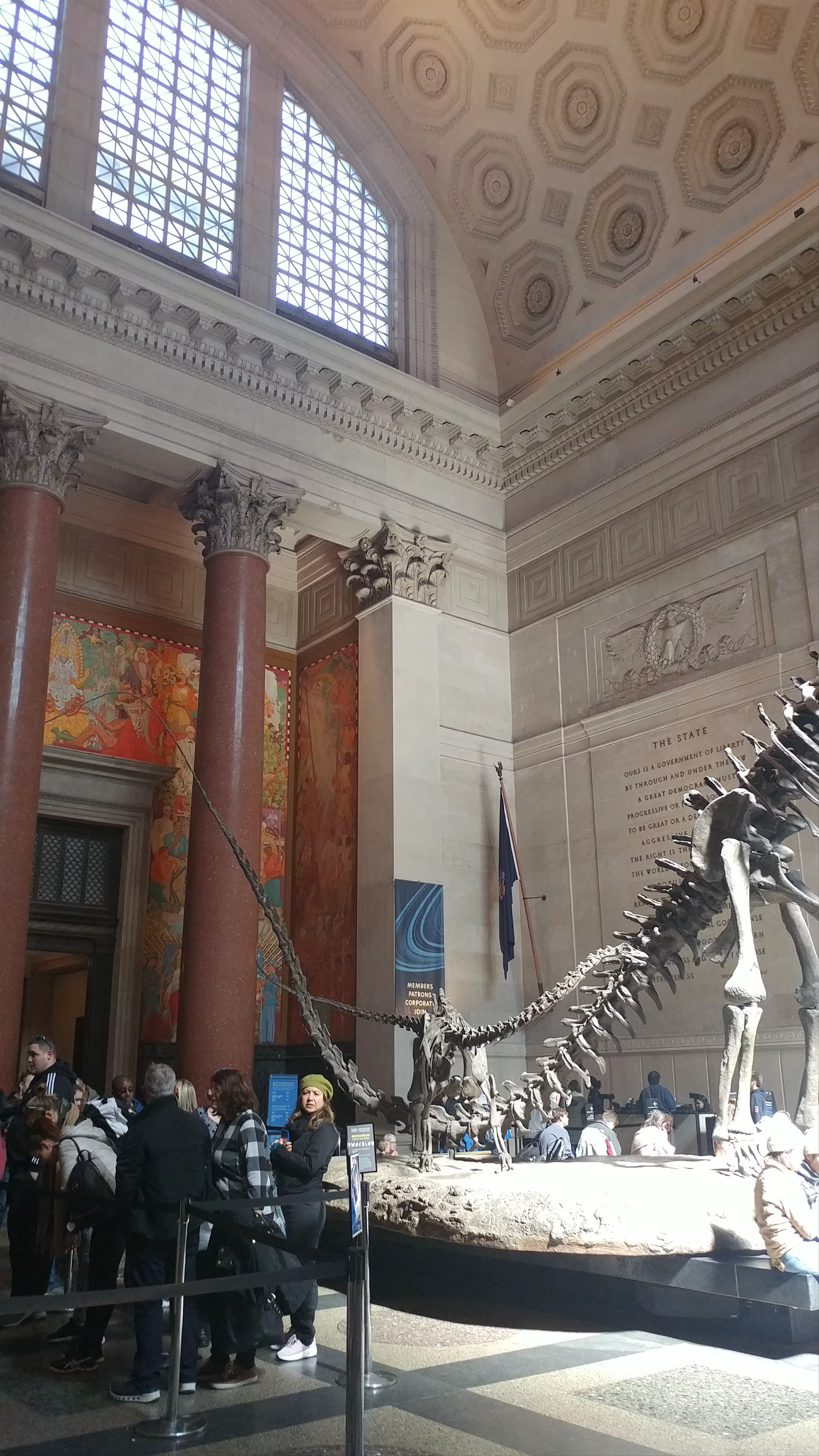 American Museum of Natural History