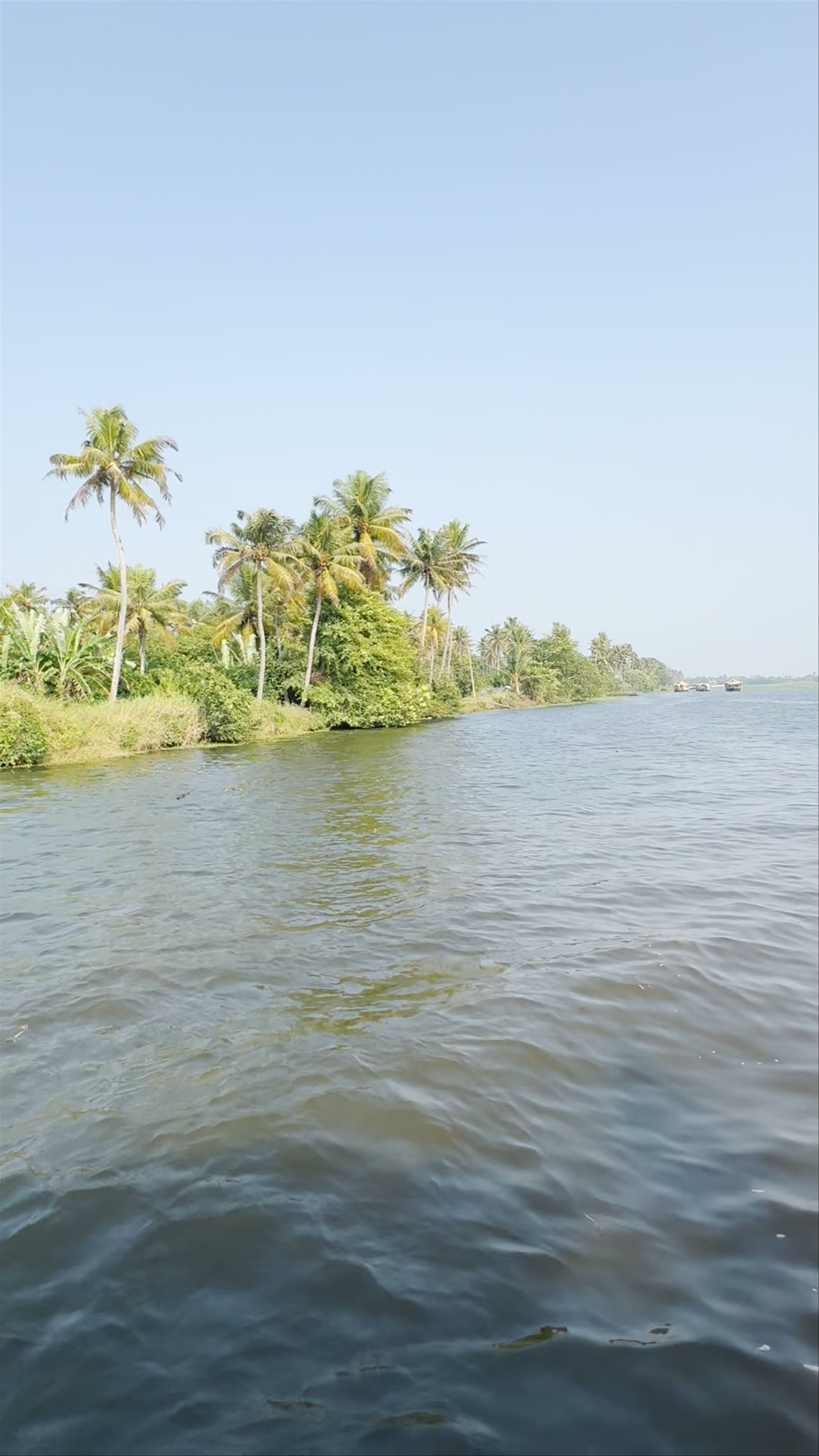 Kumarakom Bird Sanctuary: A Serene Backwater Escape in Kerala