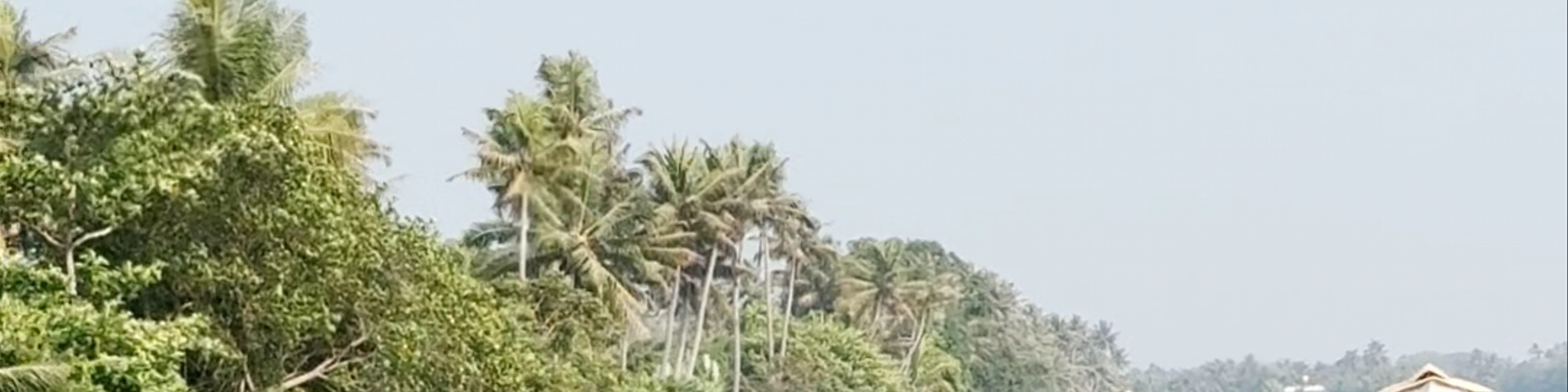 Kumarakom Bird Sanctuary