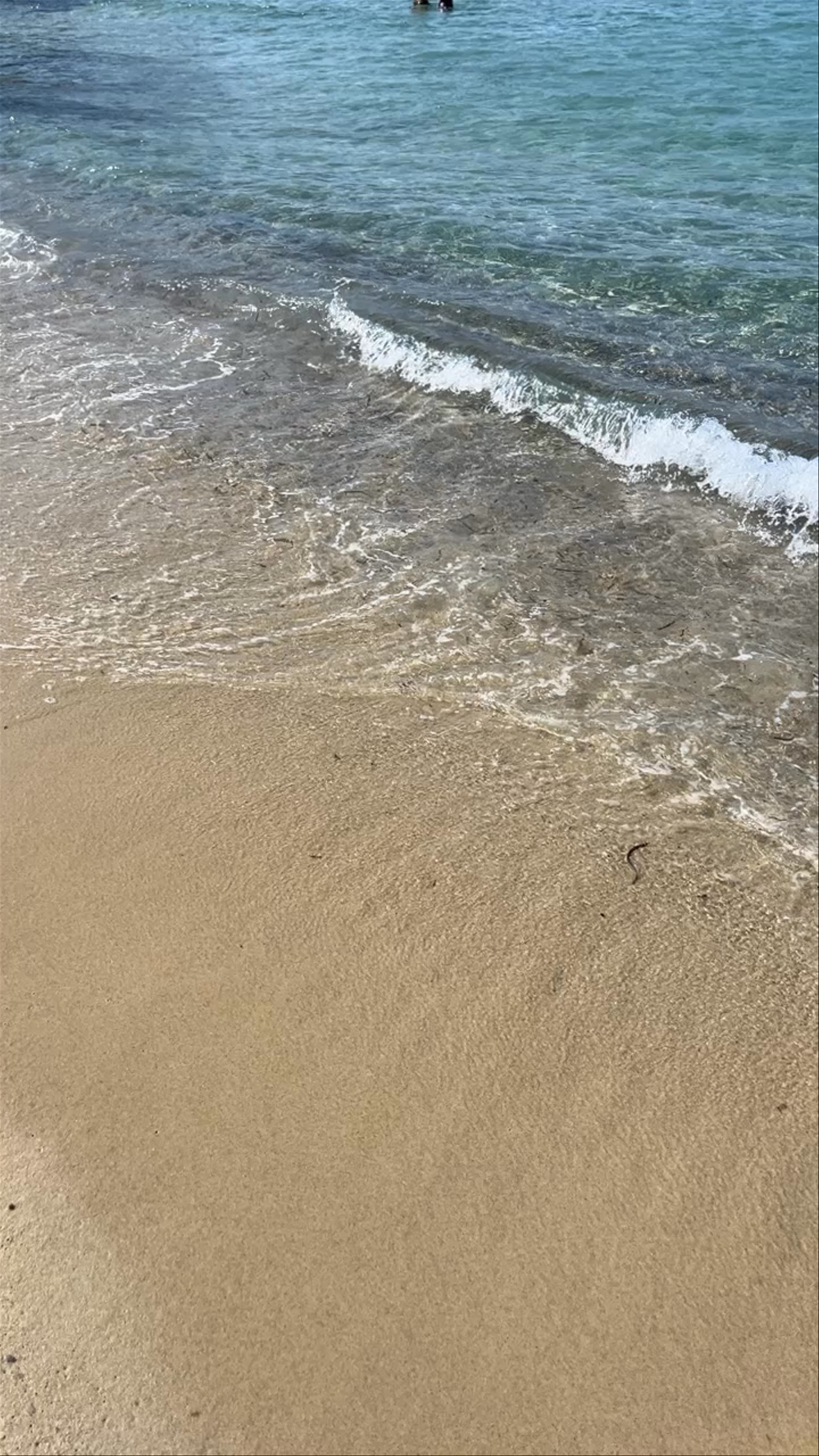 Παραλία Μεσακτη