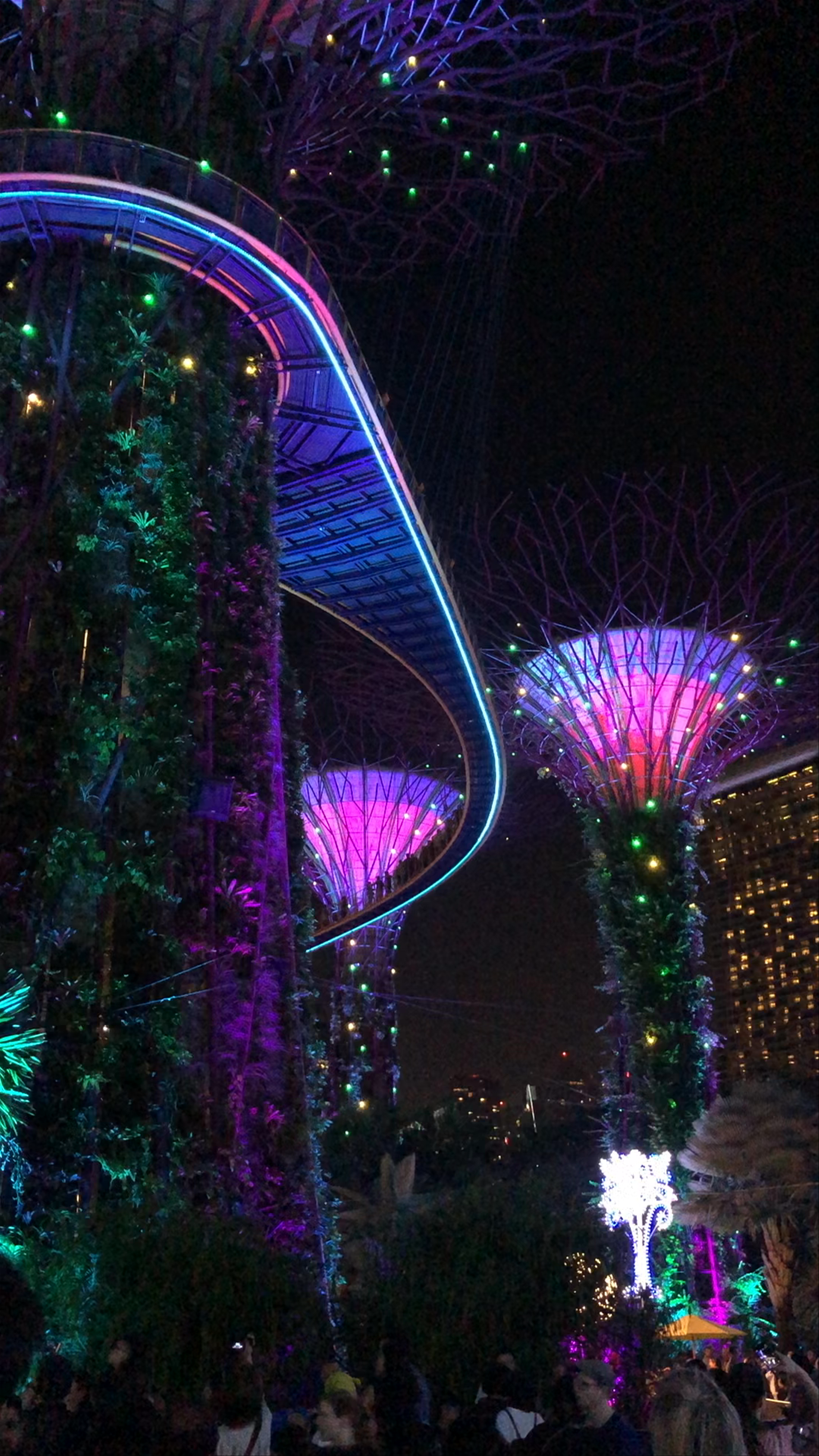 Gardens by the Bay Night Spectacle at Marina Gardens Drive, Singapore