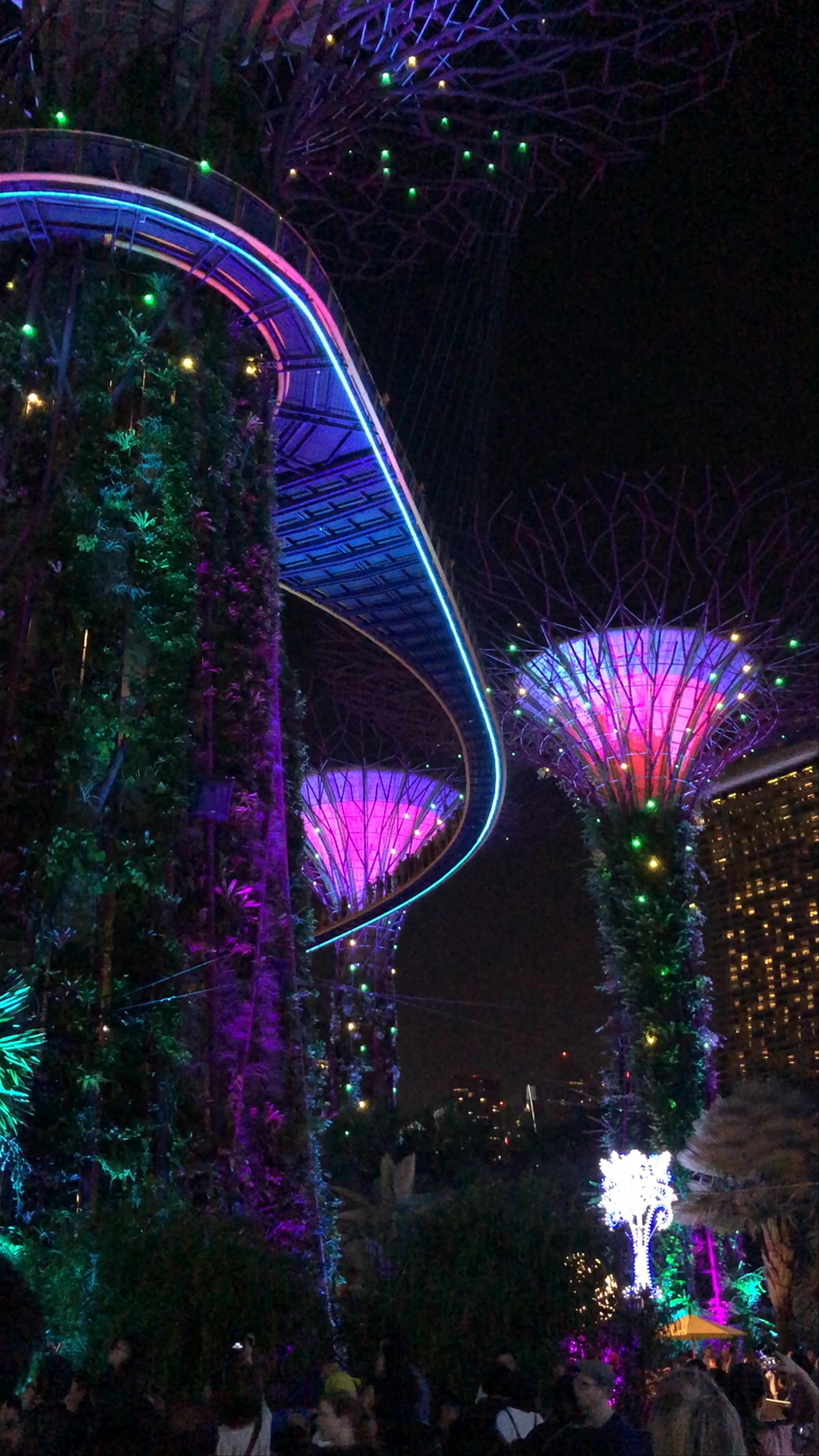 Gardens by the Bay - Christmas 