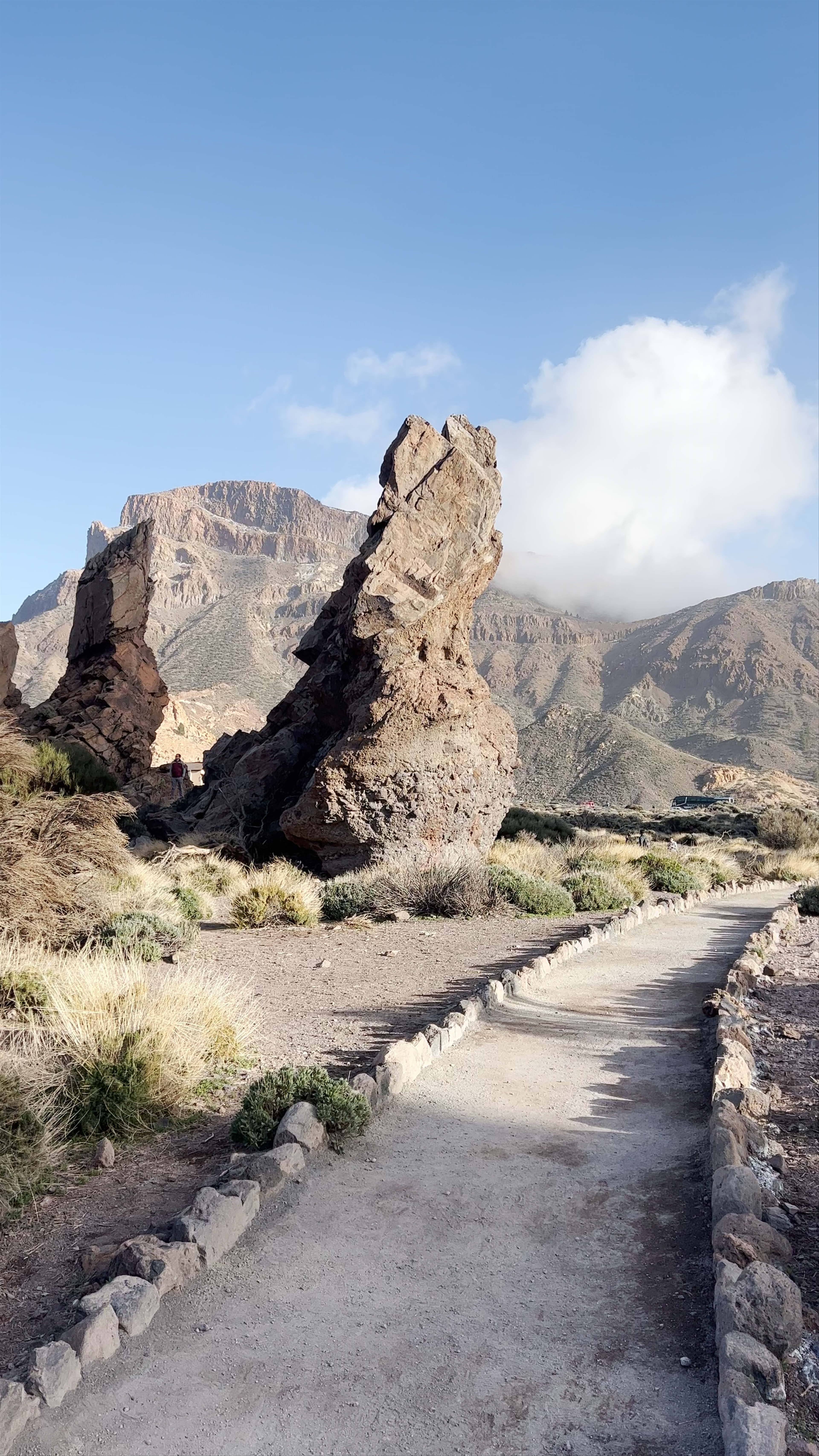 Roques de García