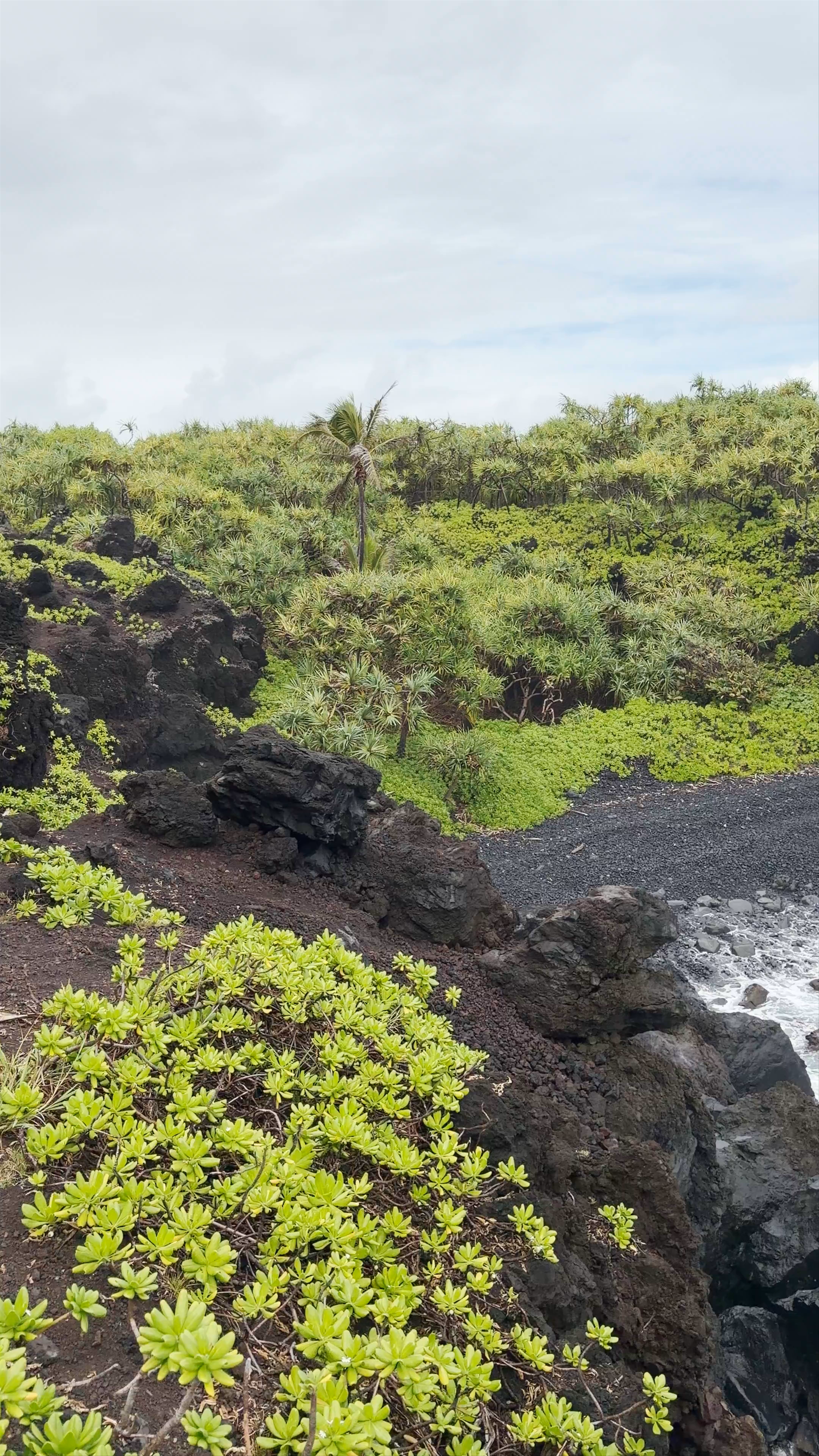Waiʻānapanapa State Park