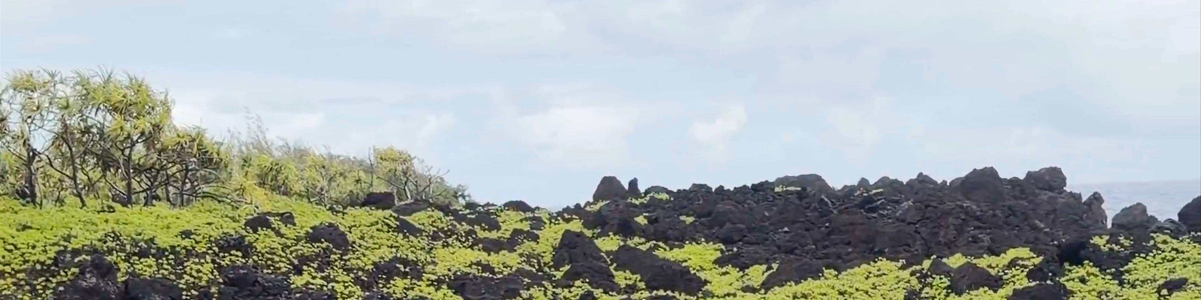 Waiʻānapanapa State Park