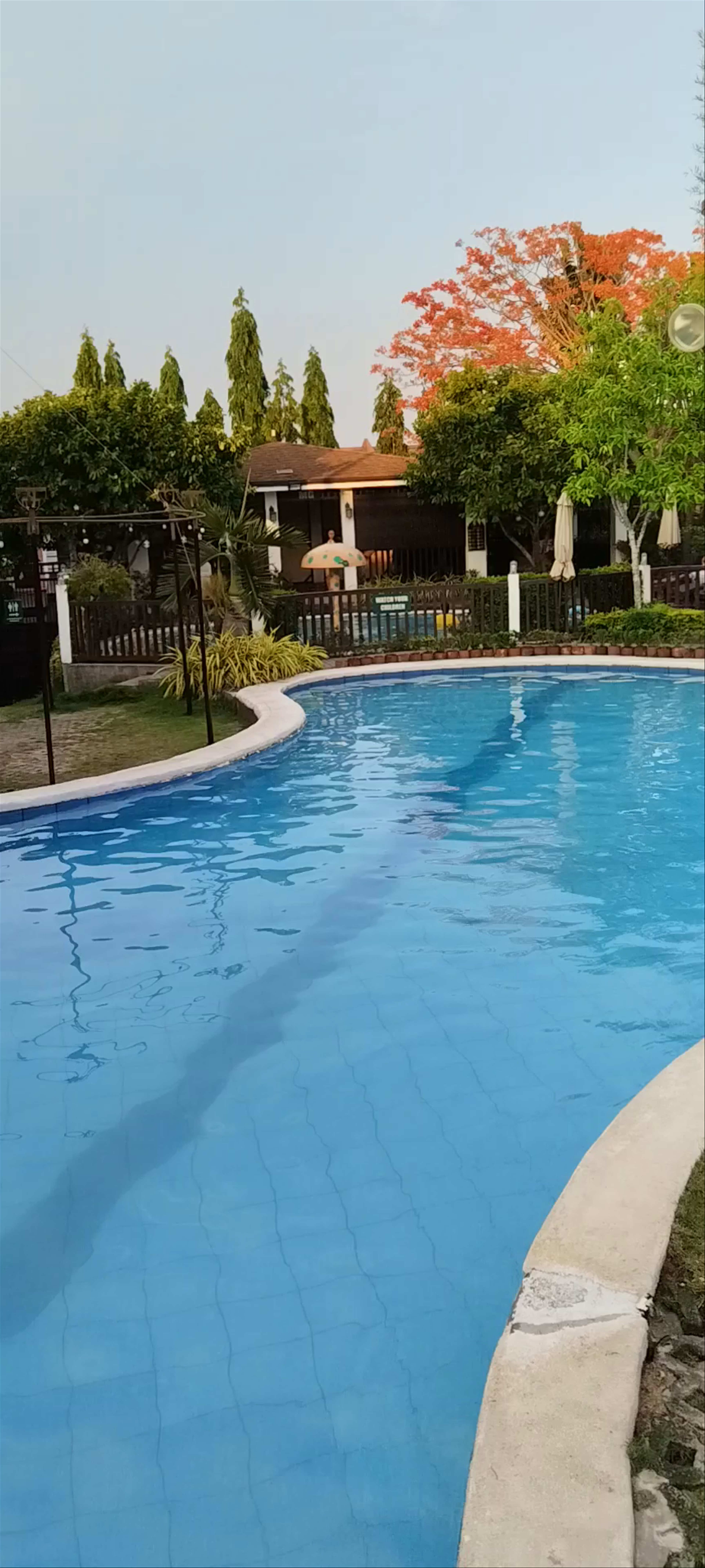 Palo Verde Resort