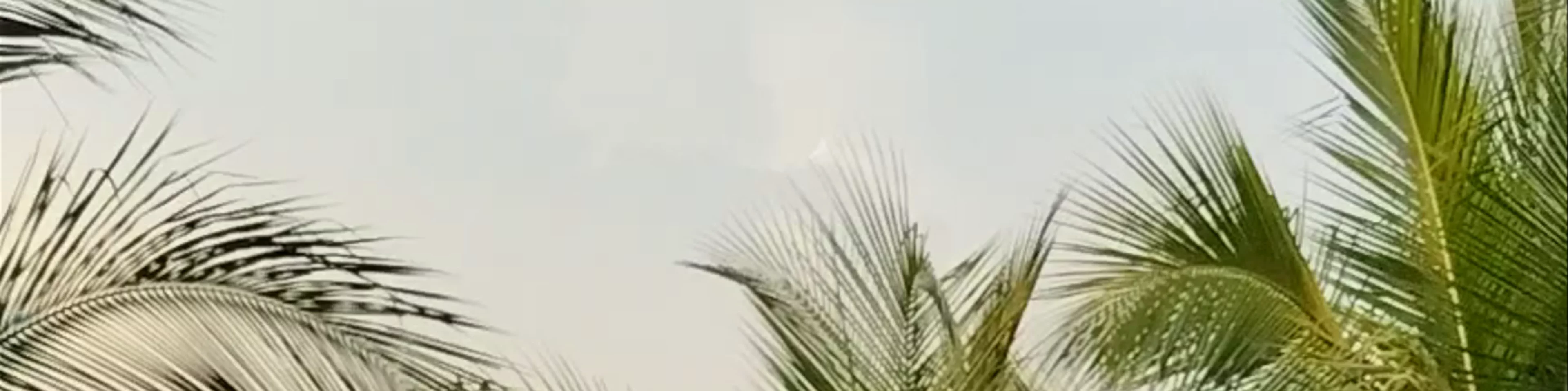 Palo Verde Resort