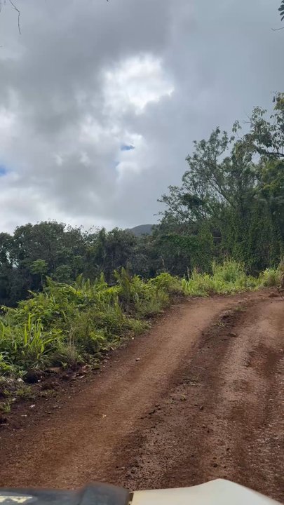 KIPU RANCH ADVENTURES - Updated July 2026 - 1933 Photos & 1684 Reviews ...