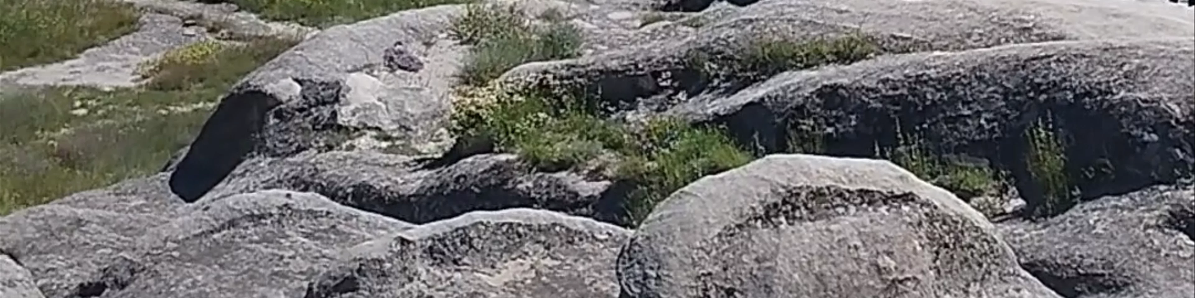 Uplistsikhe