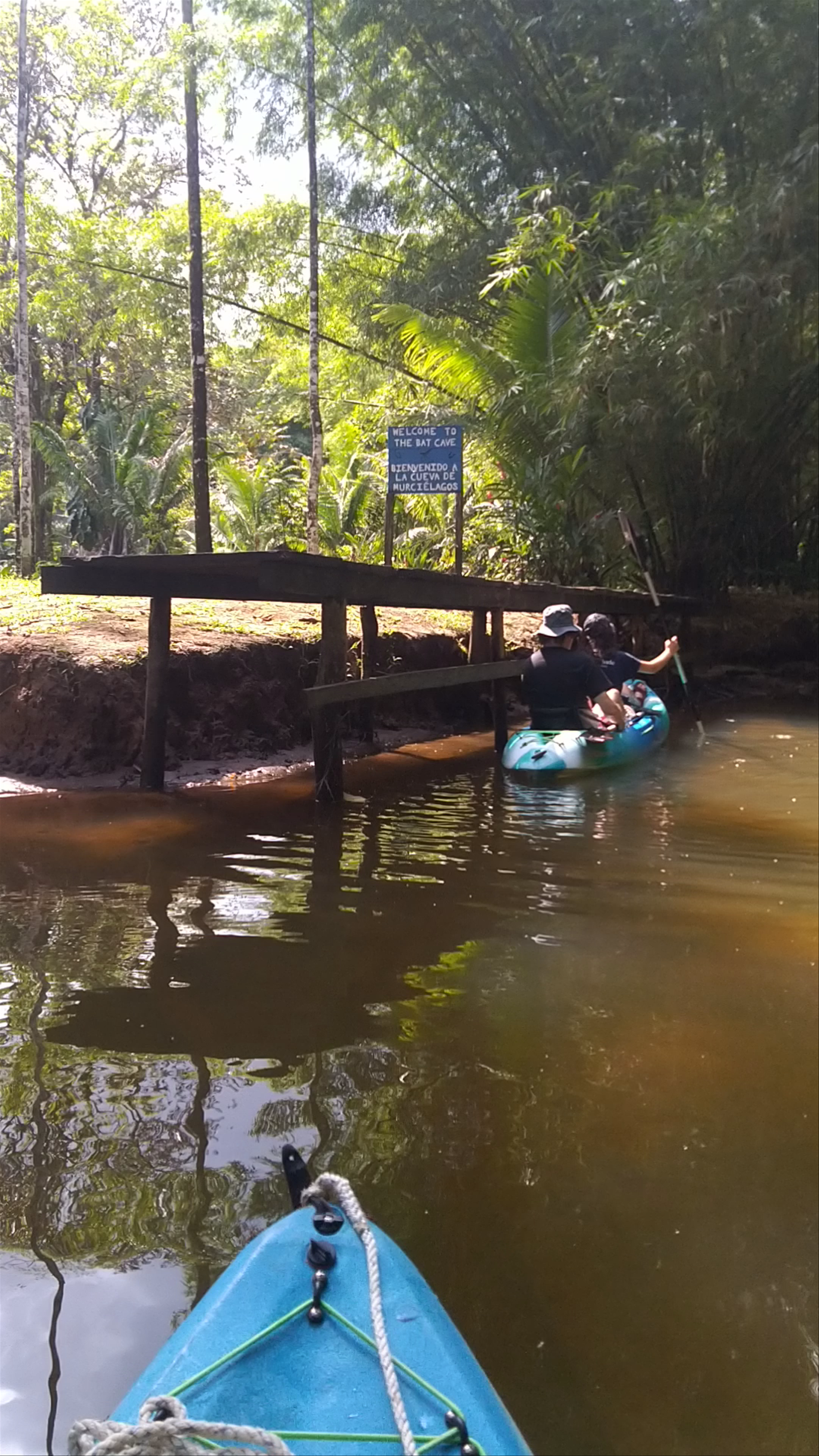 Cueva de Murcielagos