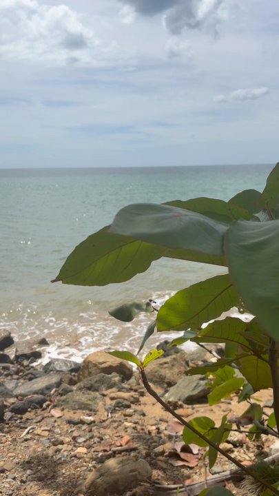Rincon Beach Resort - Resorts Near Me - Añasco, Puerto Rico