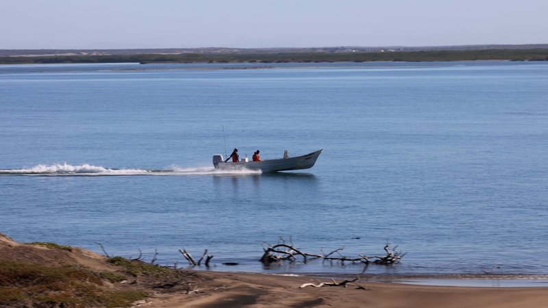 Fishing Boat poster