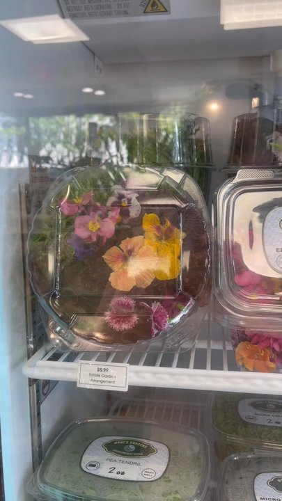 Mari’s Urban Garden - Nurseries & Gardening Near Me - Honolulu, Hawaii