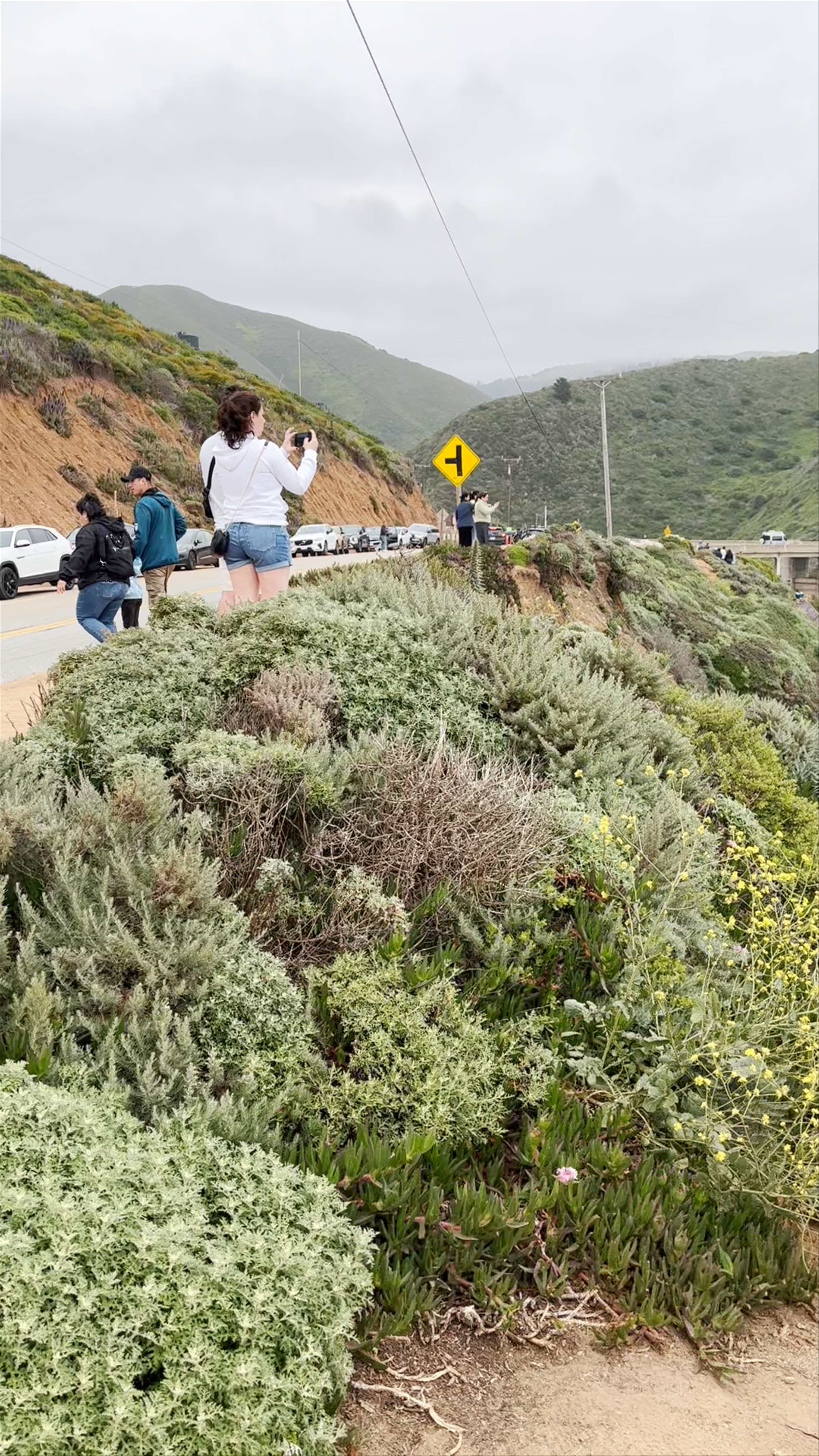Rocky Creek Bridge Scenic Overlook, Carmel, CA
