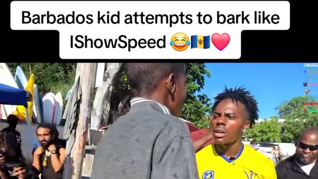 SPEED is training his followers how to bark.
It does not always go well.