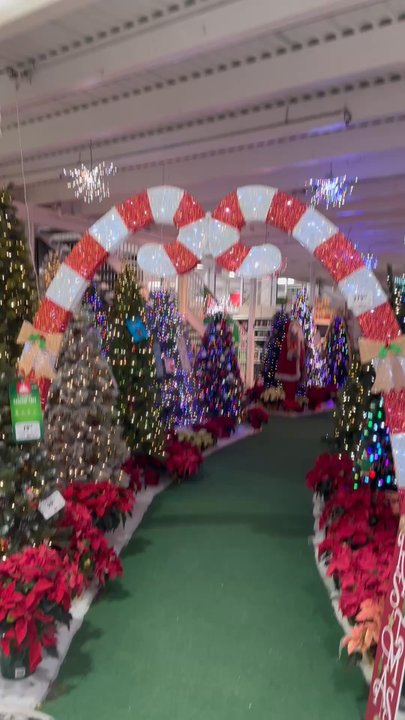 Menards - Christmas tree wonderland - Building Supplies Near Me - Rockford, Illinois