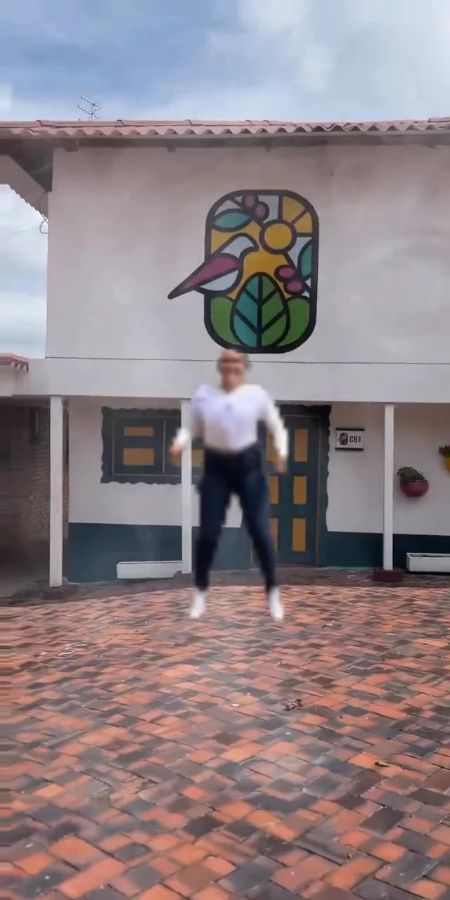 Contenido del creador