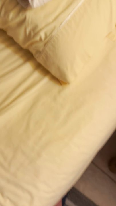 Ocean View Realty Group - Gnat in our bed. - Vacation Rentals Near Me - Ormond Beach, Florida