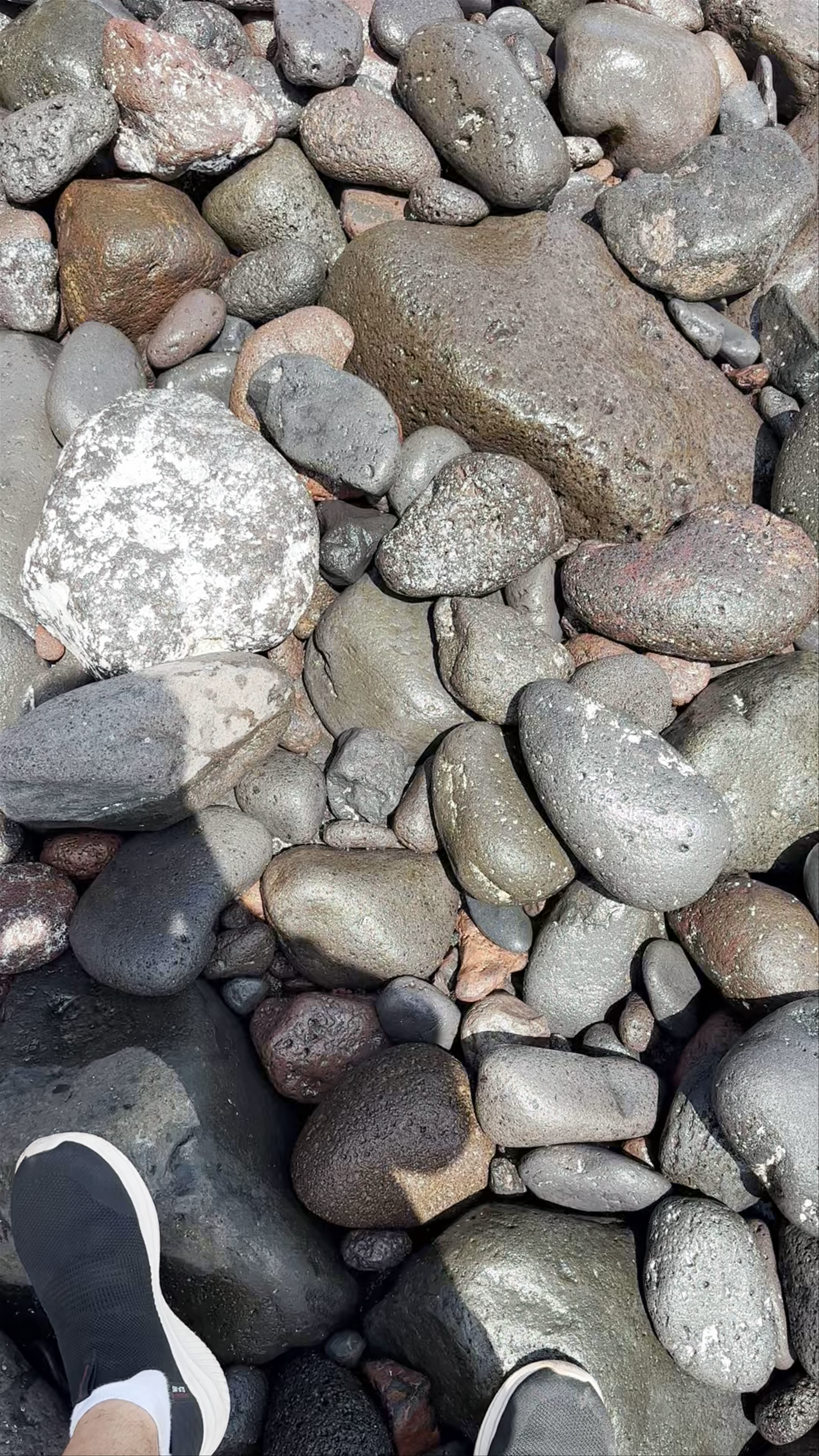 Playa de las Almorranas