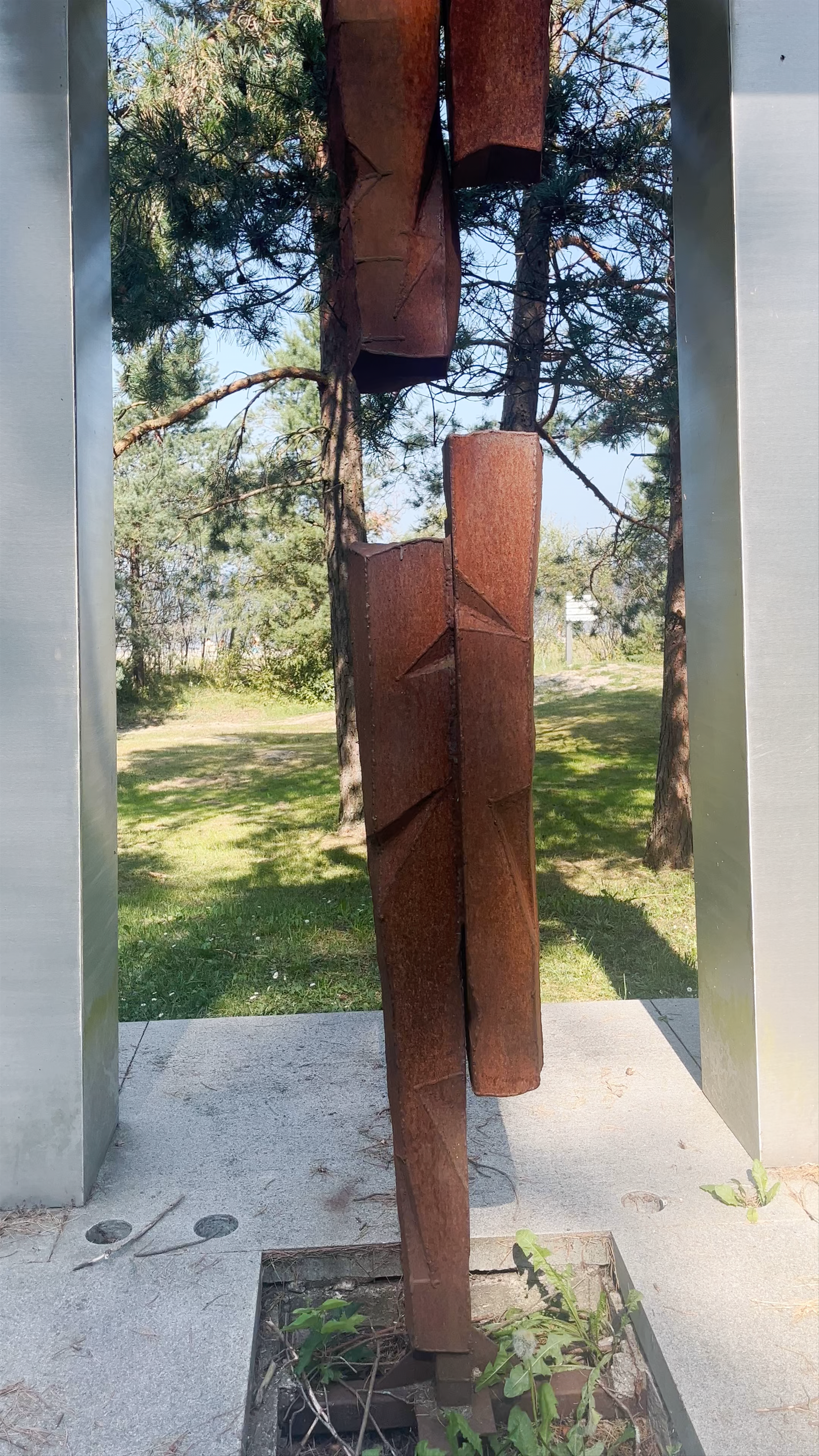  Pines of Rainis
