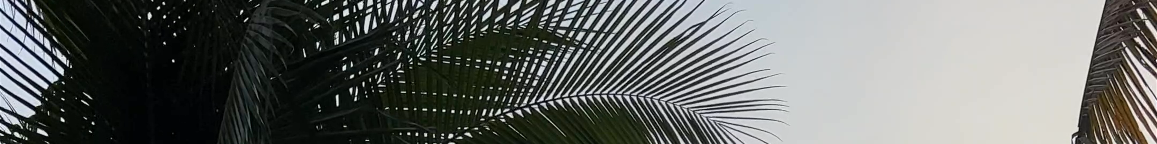 Tours & experiences in Dumaguete