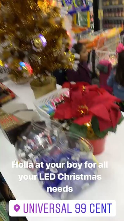 Universal 99 Cent - Brand New LED Christmas Tree and LED Christmas Styled flowers in a red flower pot. - Discount Store Near Me - West New York, New Jersey