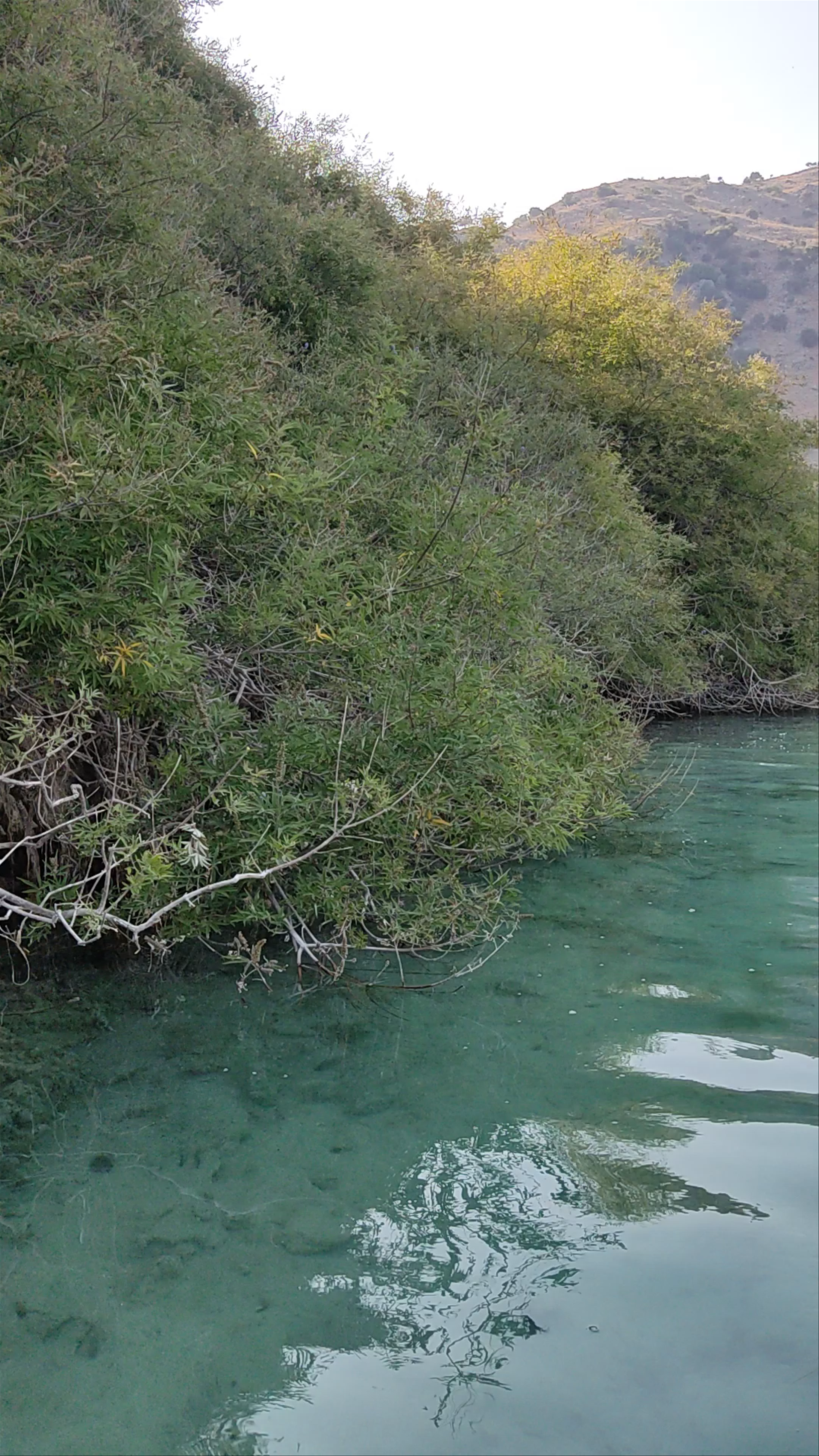 Λίμνη Κουρνά