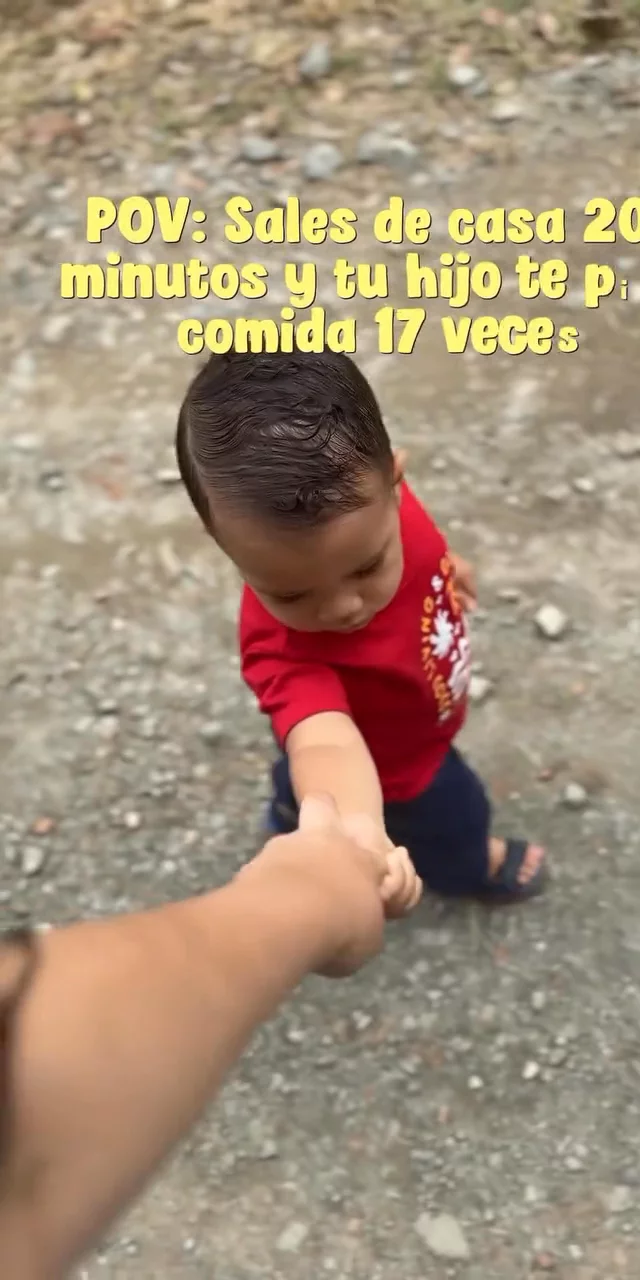 Contenido del creador