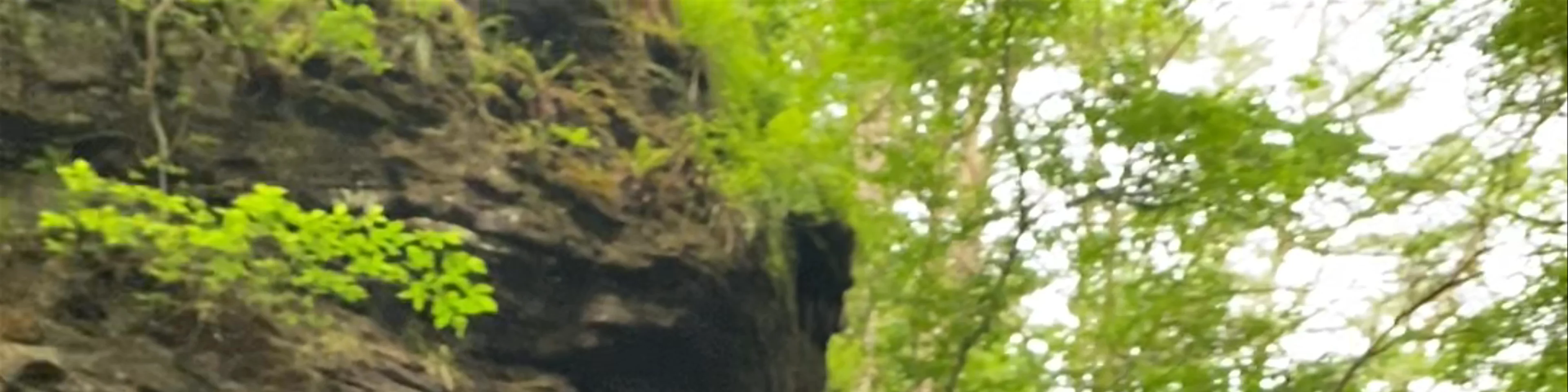 Hareshaw Linn Waterfall ~ Bellingham 