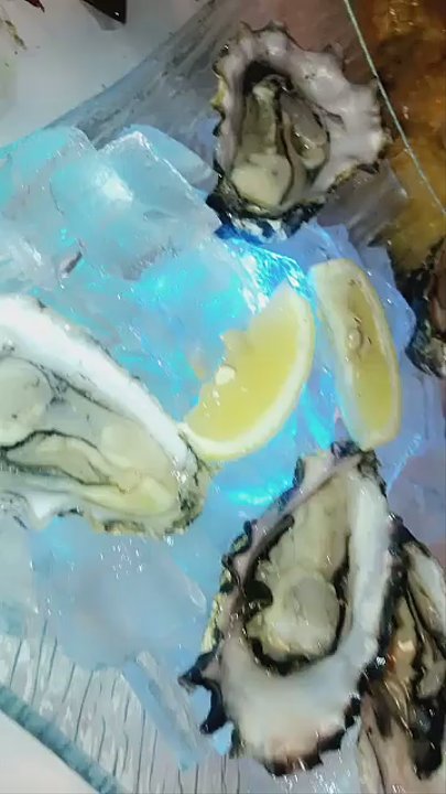 Boil Plus - Fundy bay oysters!!!! - Seafood Near Me - Mississauga, Ontario