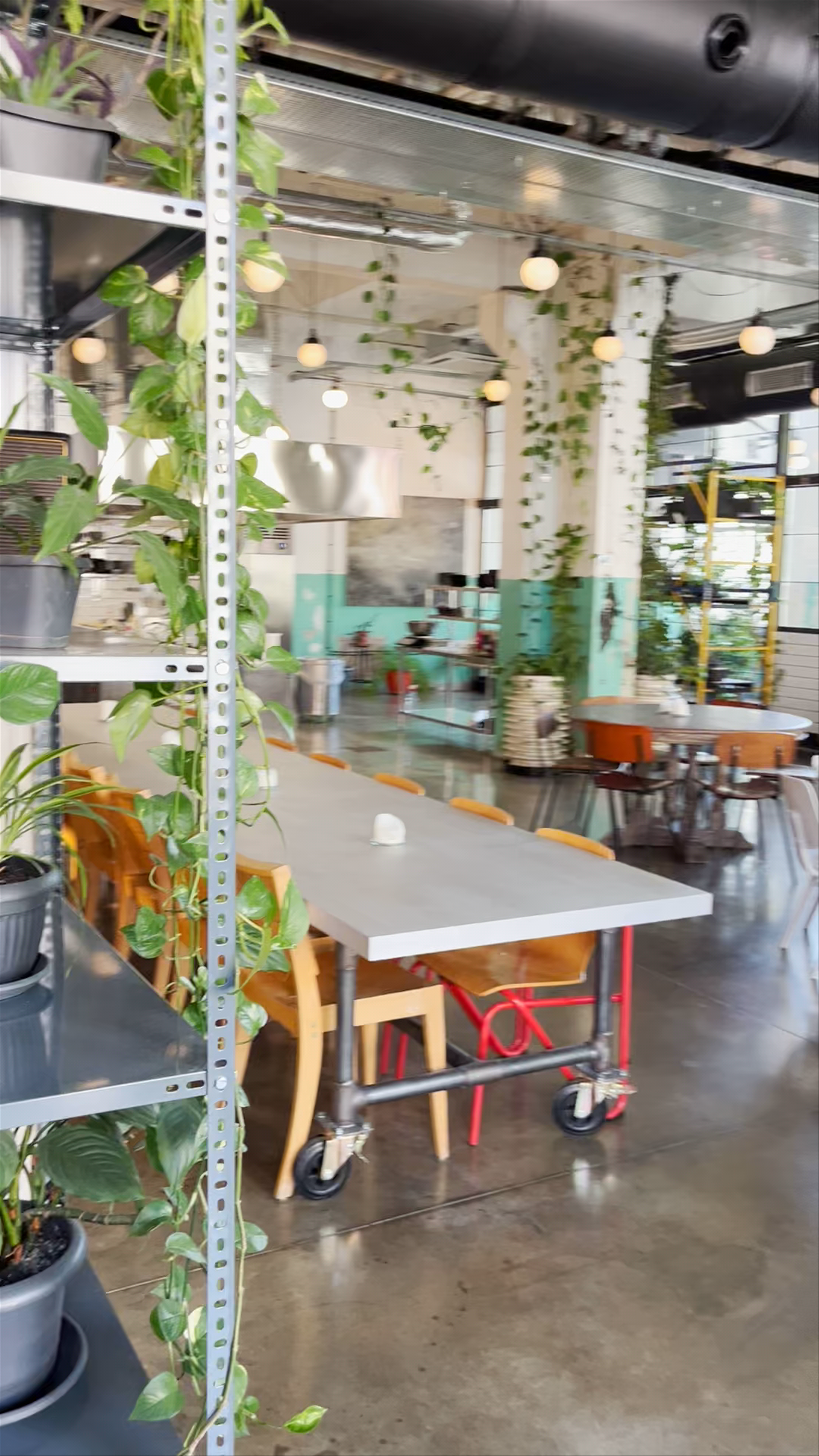 Fabrika Tbilisi: Urban Green Haven in the Heart of Tbilisi, Georgia