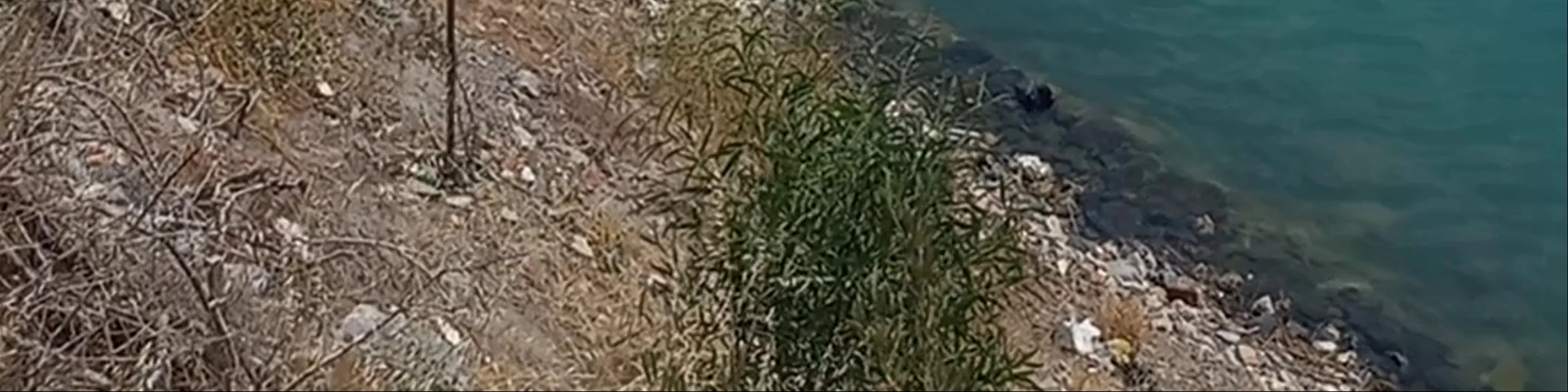 Kayaköy