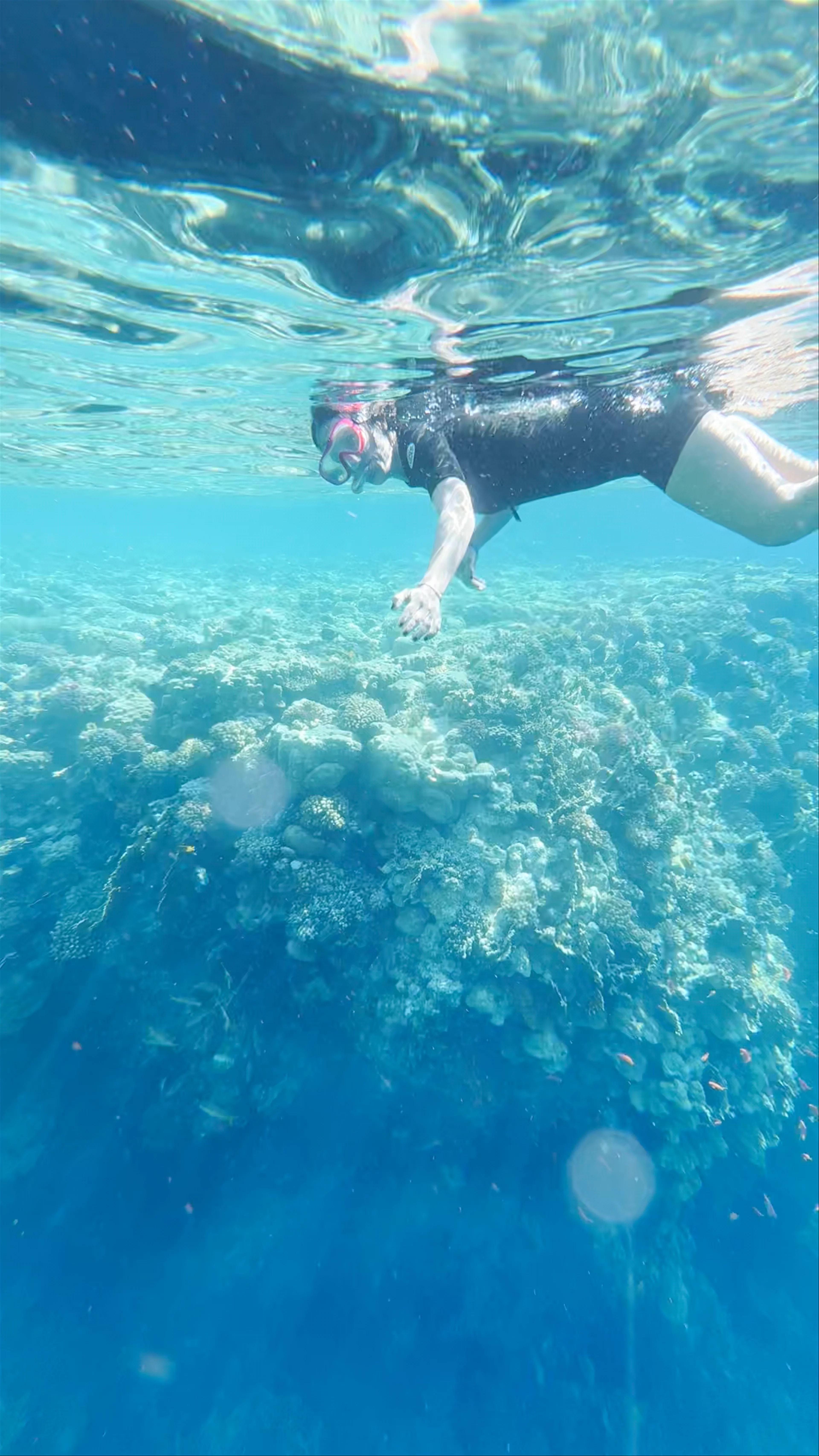 Temple Reef