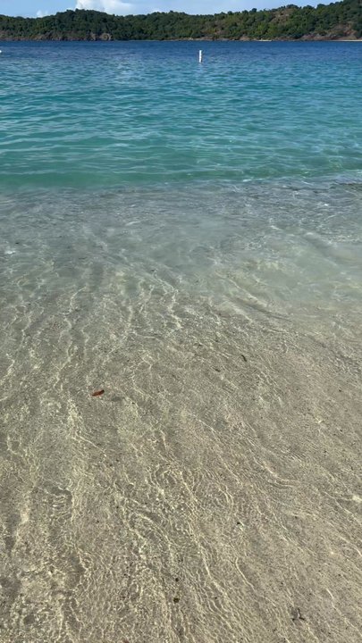 Coki Beach - Beaches Near Me - St Thomas, Virgin Islands