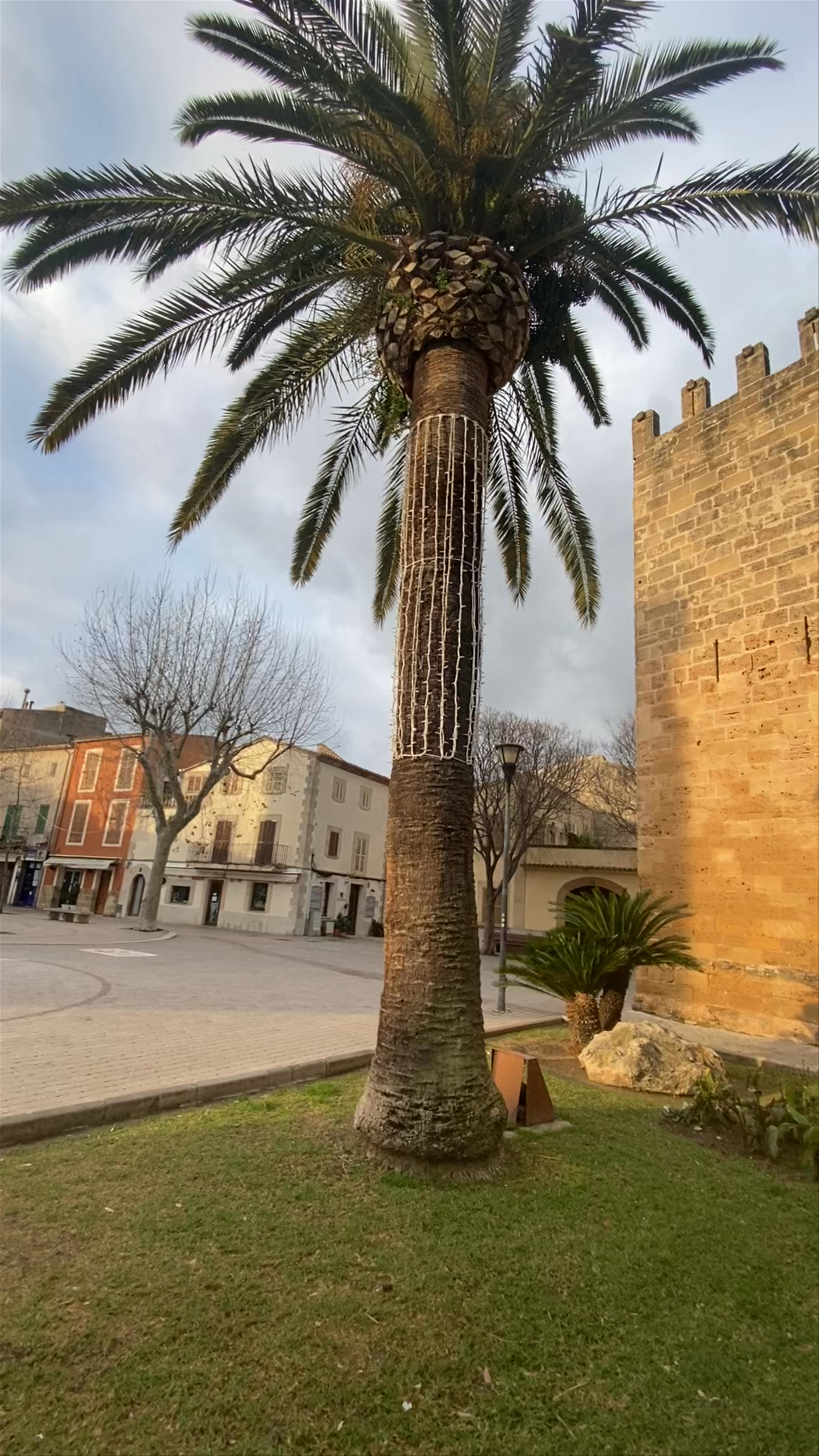 Porta del Moll