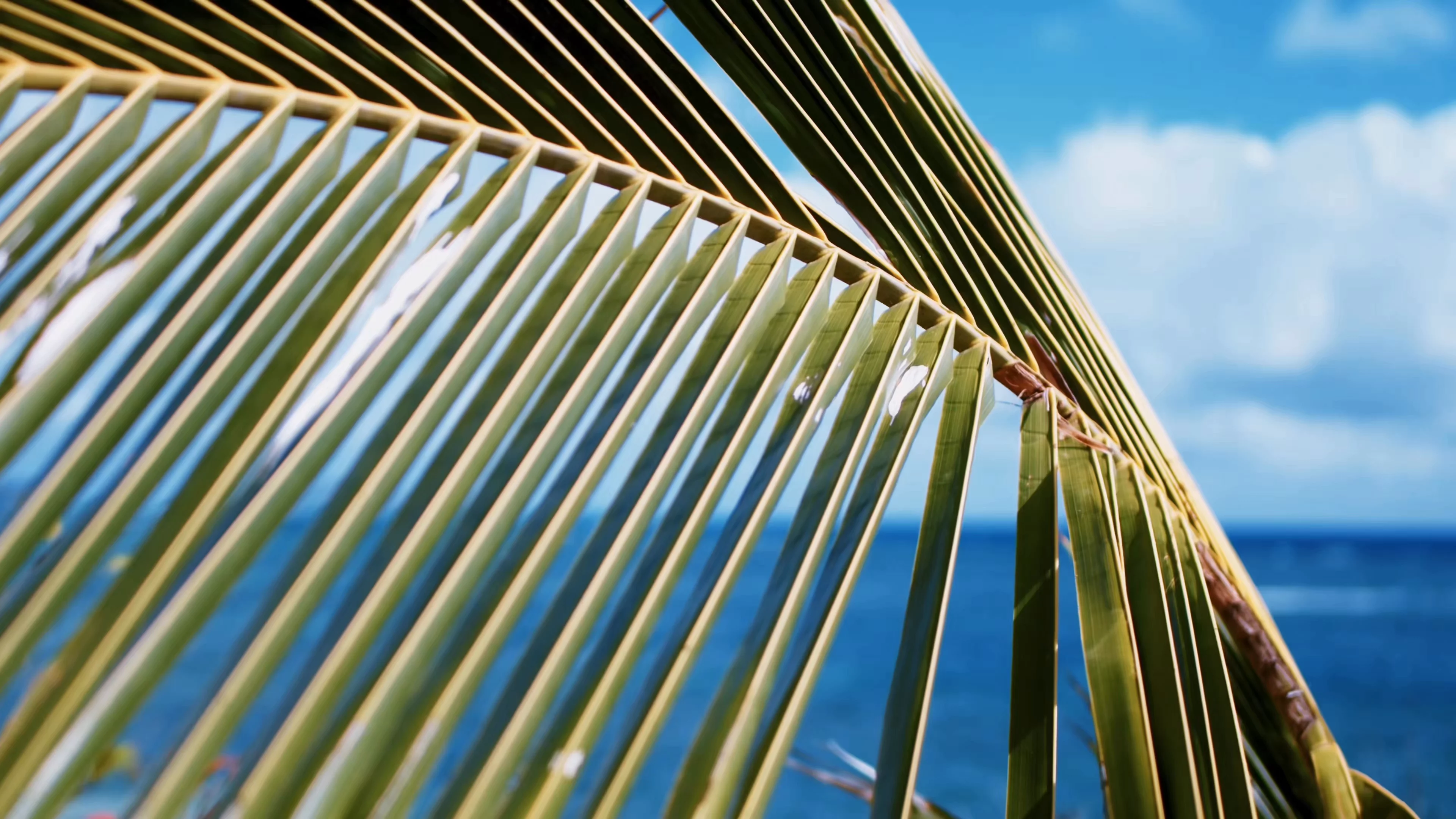 Sun Beach House Background