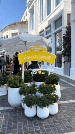 La La Land Kind Cafe