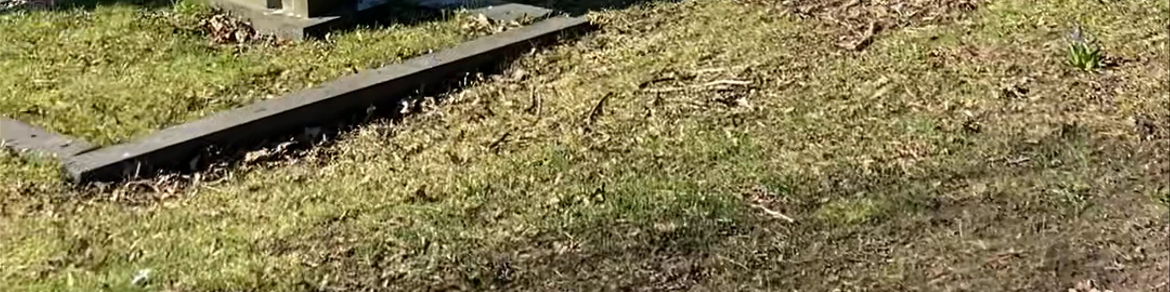 Vår Frelsers Gravlund